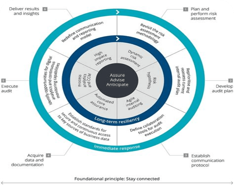 Data Analytics & Automation