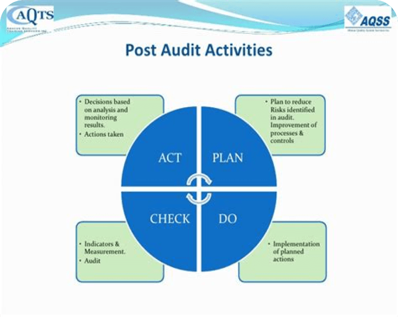 Risk Information System Auditing